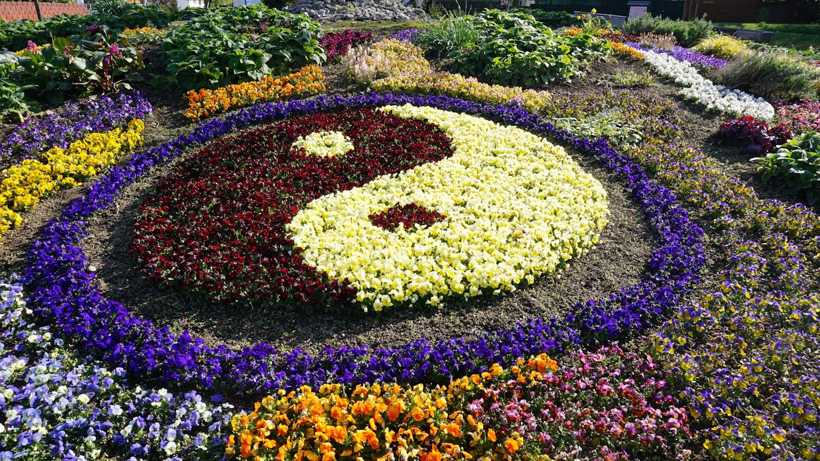 Yin yang symbol made of colorful flowers